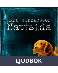 Nattsida : Roman, Ljudbok