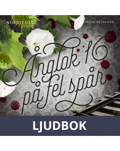 Ånglok 16 på fel spår, Ljudbok