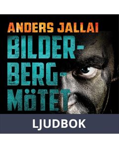 Bilderbergmötet, Ljudbok