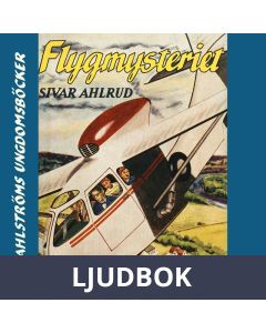 Tvillingdetektiverna 4 - Flyg-mysteriet, Ljudbok