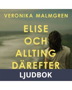 Elise och allting därefter, Ljudbok