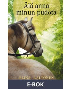 Älä anna minun pudota, E-bok