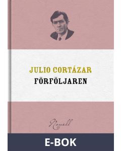 Förföljaren, E-bok