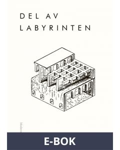 Del av labyrinten, E-bok