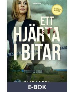 Ett hjärta i bitar, E-bok