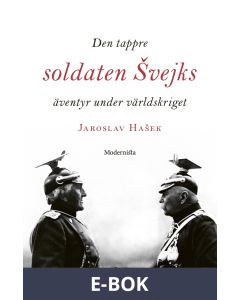 Den tappre soldaten Svejks äventyr under världskriget, E-bok