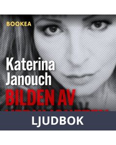 Bilden av verkligheten, Ljudbok