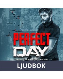 Perfect Day, Ljudbok