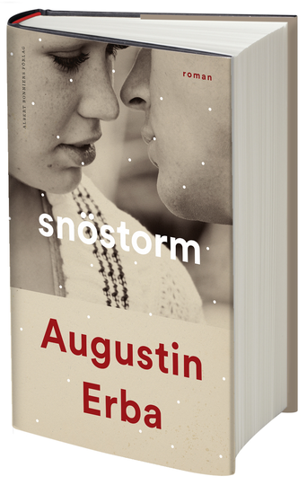 Snöstorm