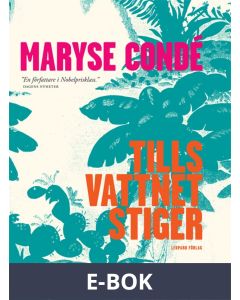 Tills vattnet stiger, E-bok