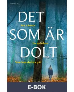 Det som är dolt, E-bok