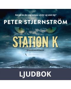 Station K, Ljudbok