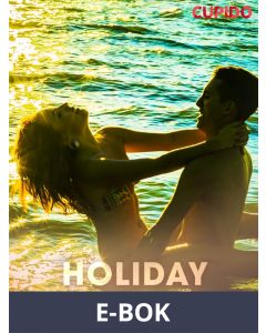 Holiday Memories, E-bok