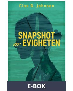 Snapshot av evigheten, E-bok