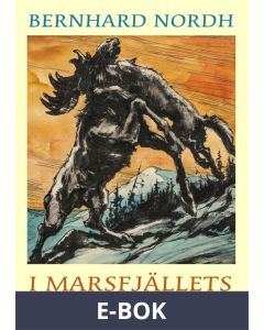 I Marsfjällets skugga, E-bok