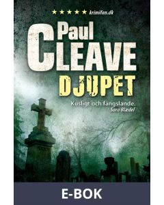 Djupet, E-bok