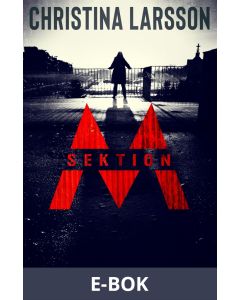 Sektion M III, E-bok