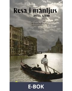 Resa i månljus, E-bok