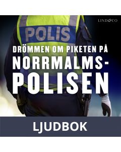 Drömmen om piketen på Norrmalmspolisen, Ljudbok