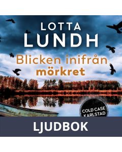 Blicken inifrån mörkret, Ljudbok