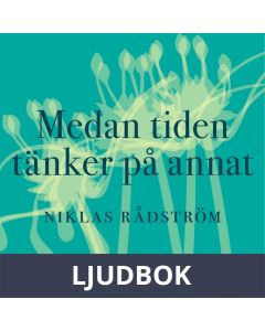 Medan tiden tänker på annat, Ljudbok