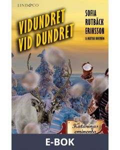Vidundret vid Dundret, E-bok