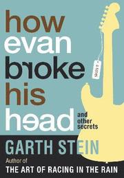 How Evan Broke His Head