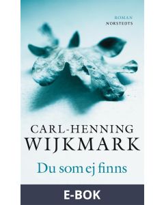 Du som ej finns, E-bok