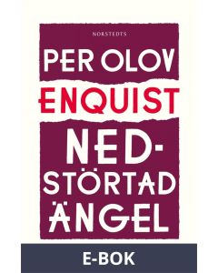 Nedstörtad ängel, E-bok
