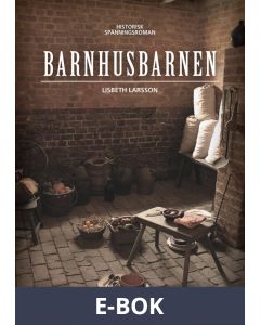 Barnhusbarnen, E-bok