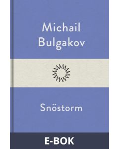 Snöstorm, E-bok
