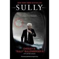 Sully: My Search for What Really Matters