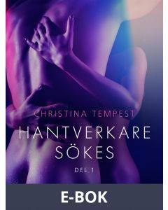 Hantverkare sökes Del 1 - erotisk novell, E-bok
