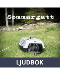 Sommargatt, Ljudbok