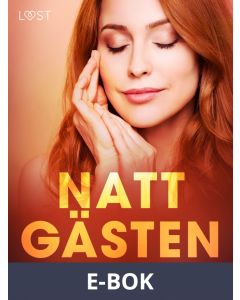 Nattgästen - erotisk novell, E-bok