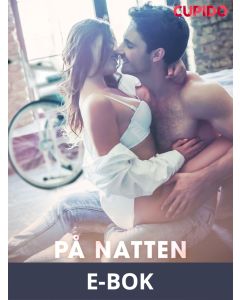 På natten sover moralen, E-bok