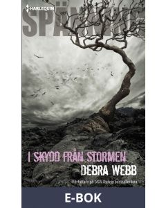 I skydd från stormen, E-bok