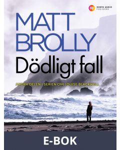 Dödligt fall, E-bok