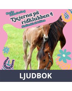 Tjejerna på ridklubben 4 - Stallvakt åt Lilian, Ljudbok