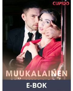 Muukalainen yöjunassa, E-bok