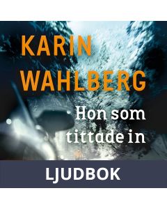Hon som tittade in, Ljudbok