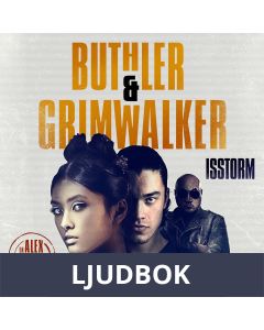 Isstorm, Ljudbok