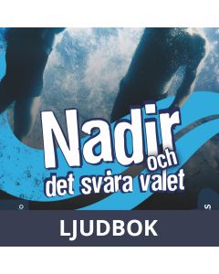 Nadir och det svåra valet, Ljudbok