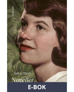 Noveller, E-bok
