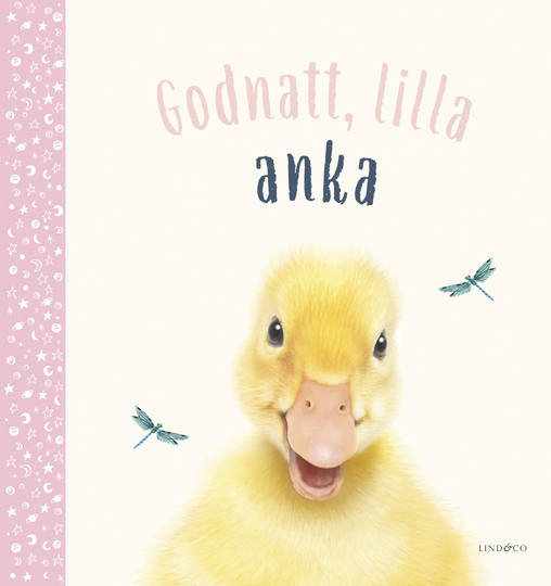God Natt, Lilla Anka