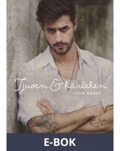 Tjuven och kärleken, E-bok