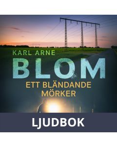 Ett bländande mörker, Ljudbok