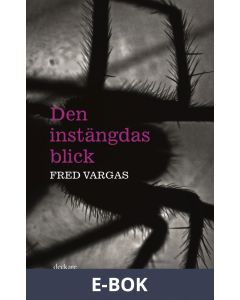 Den instängdas blick, E-bok