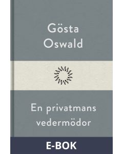En privatmans vedermödor, E-bok