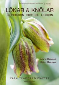 Lökar & Knölar : inspiration - skötsel - lexikon